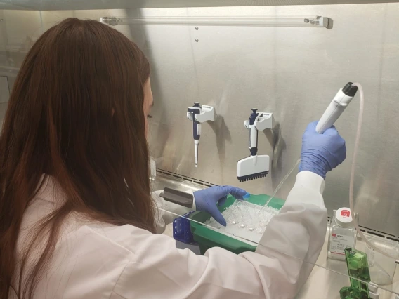 Researcher