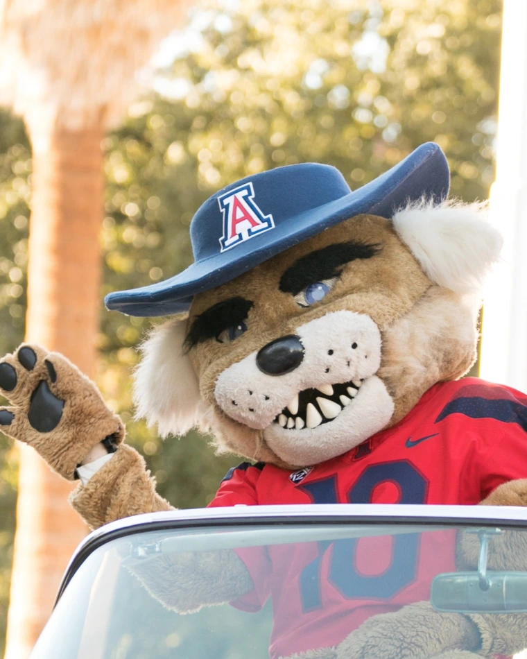 Wilbur Wildcat
